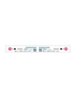 Class 4 Indicator ( Steam) 500 Pcs/pack